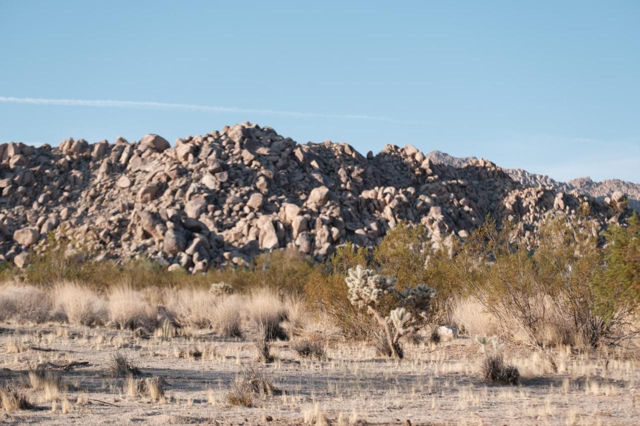 @ Marbella Lane - The Moon Designer Home Right Behind The Jtnp Joshua Tree Buitenkant foto